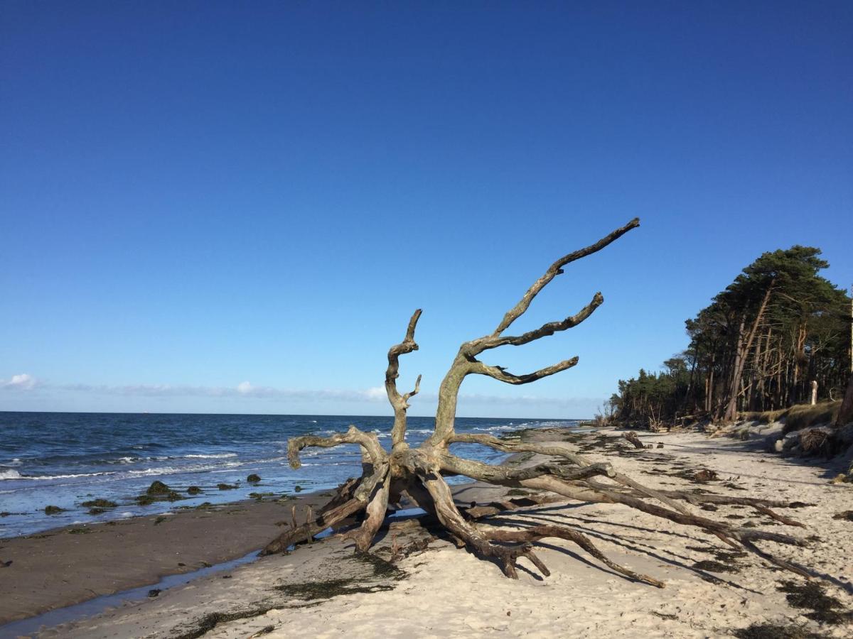 Ferienwohnung Strandperle Prerow Exterior foto